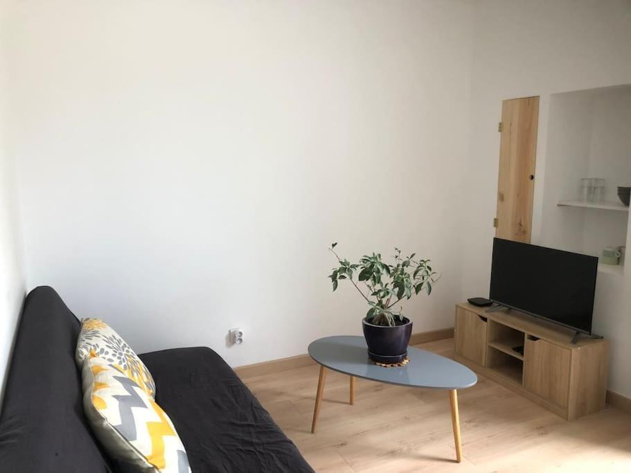 Avec Terrasse Privative De 20 M Carre Apartment Benejacq